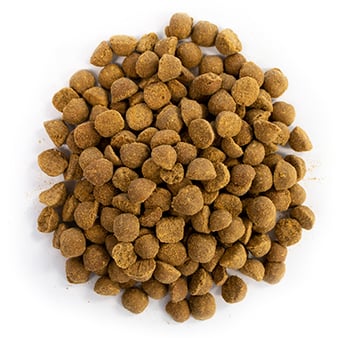 Dog food hotsell for older dogs